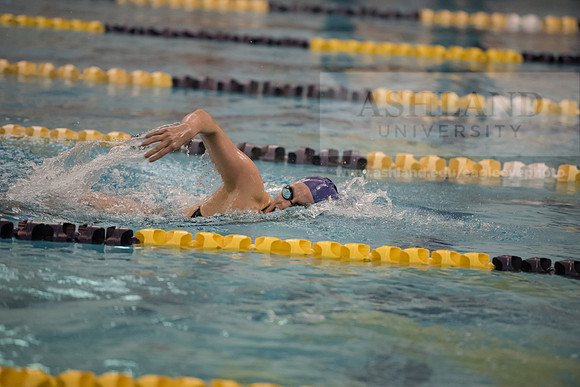 AU Swim Meet/Malone and Urbana