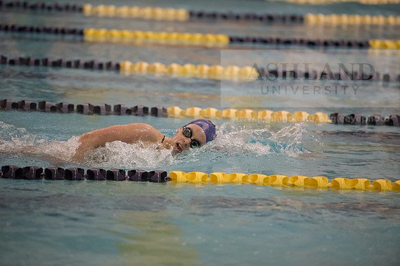 AU Swim Meet/Malone and Urbana