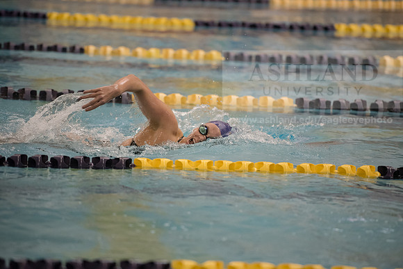AU Swim Meet/Malone and Urbana