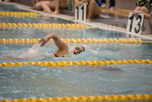 AU Swim Meet/Malone and Urbana