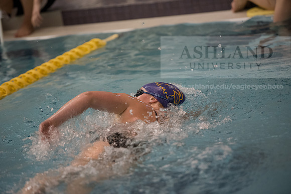 AU Swim Meet/Malone and Urbana