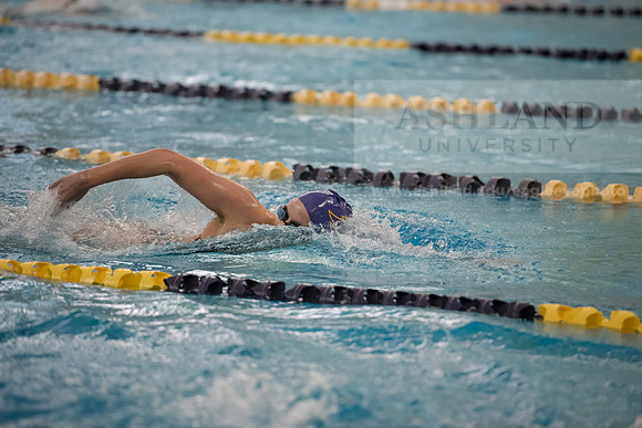 AU Swim Meet/Malone and Urbana