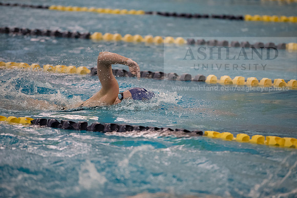 AU Swim Meet/Malone and Urbana