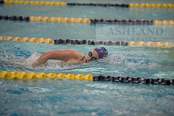 AU Swim Meet/Malone and Urbana
