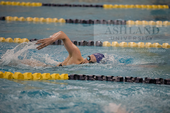 AU Swim Meet/Malone and Urbana