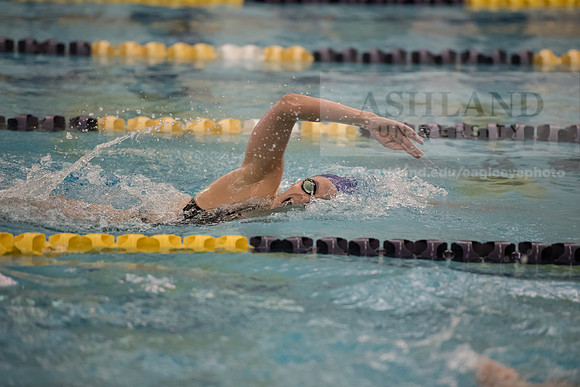 AU Swim Meet/Malone and Urbana