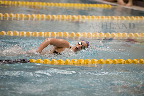 AU Swim Meet/Malone and Urbana