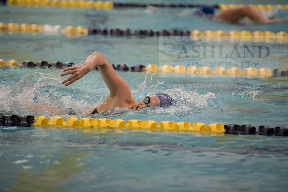 AU Swim Meet/Malone and Urbana