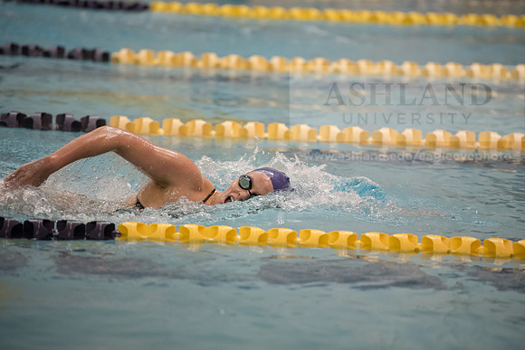 AU Swim Meet/Malone and Urbana