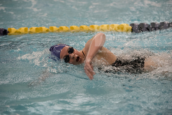 AU Swim Meet/Malone and Urbana
