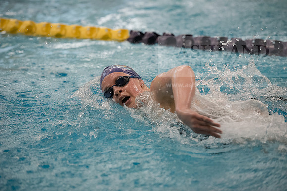 AU Swim Meet/Malone and Urbana
