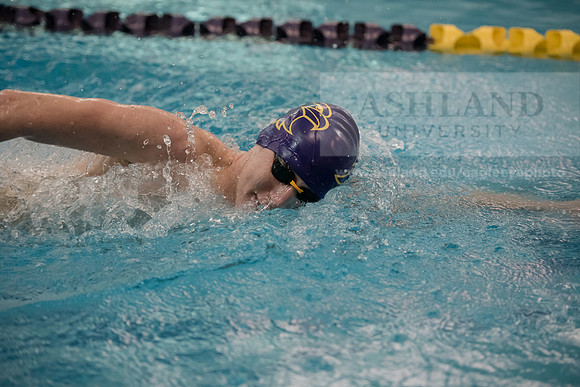 AU Swim Meet/Malone and Urbana