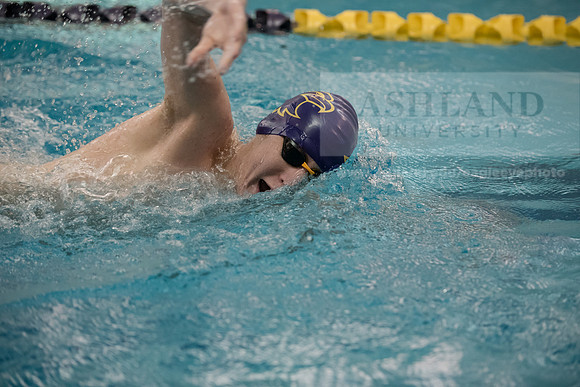AU Swim Meet/Malone and Urbana