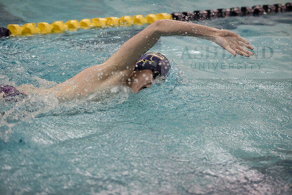AU Swim Meet/Malone and Urbana