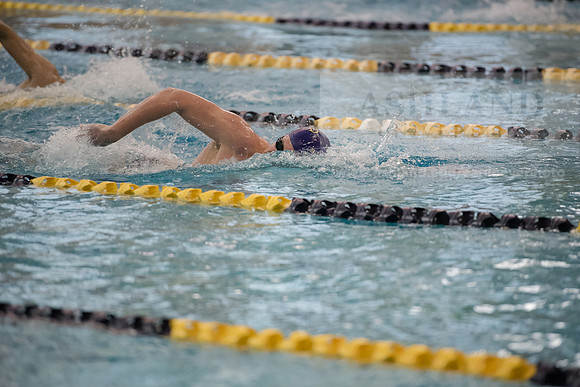 AU Swim Meet/Malone and Urbana