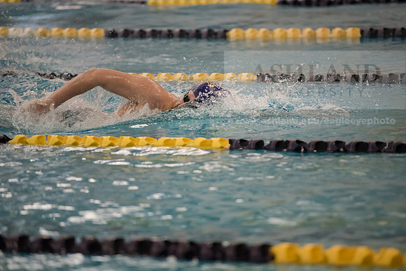 AU Swim Meet/Malone and Urbana