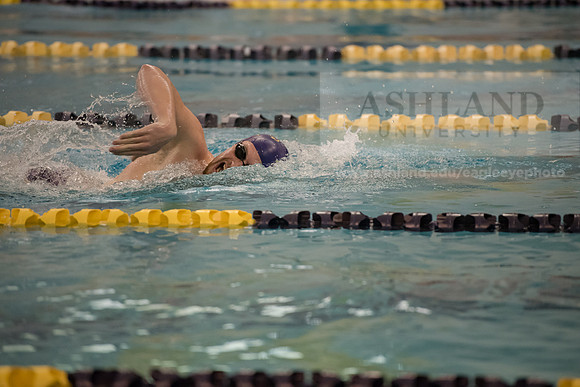 AU Swim Meet/Malone and Urbana
