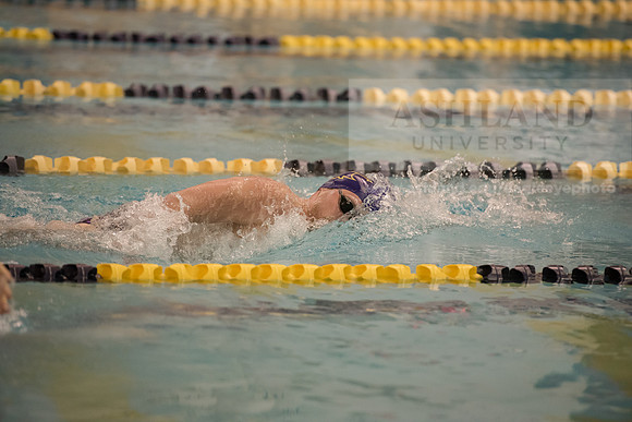 AU Swim Meet/Malone and Urbana