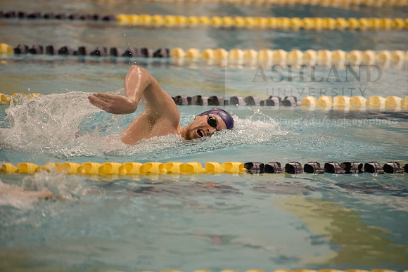 AU Swim Meet/Malone and Urbana