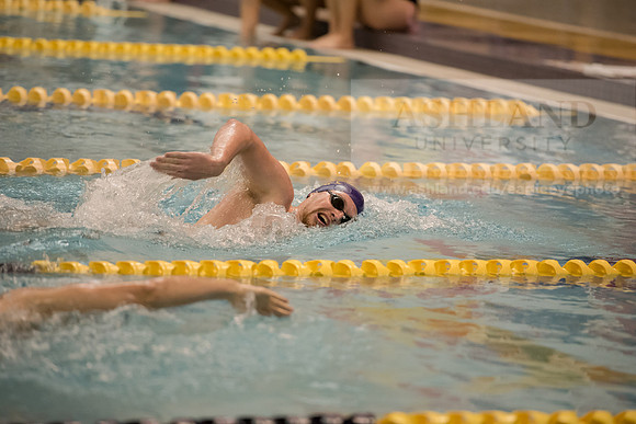 AU Swim Meet/Malone and Urbana