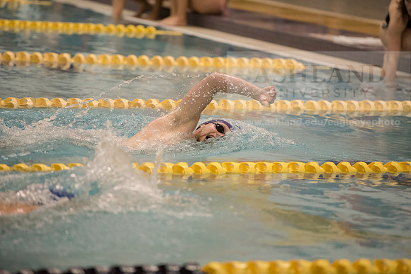 AU Swim Meet/Malone and Urbana