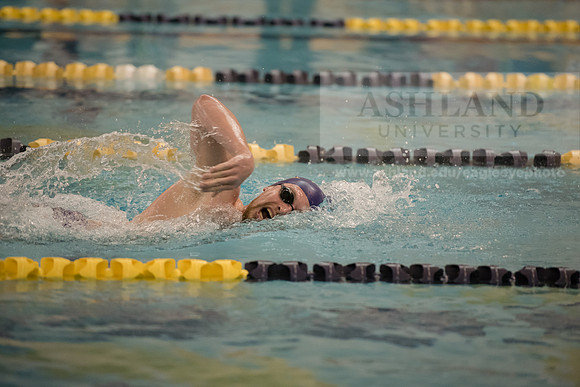 AU Swim Meet/Malone and Urbana