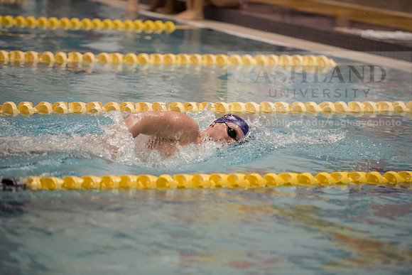 AU Swim Meet/Malone and Urbana