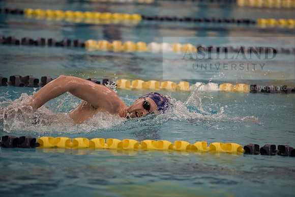AU Swim Meet/Malone and Urbana