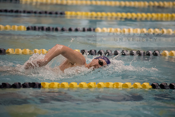 AU Swim Meet/Malone and Urbana