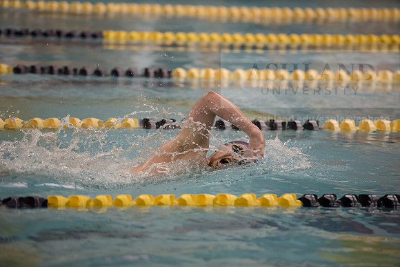AU Swim Meet/Malone and Urbana