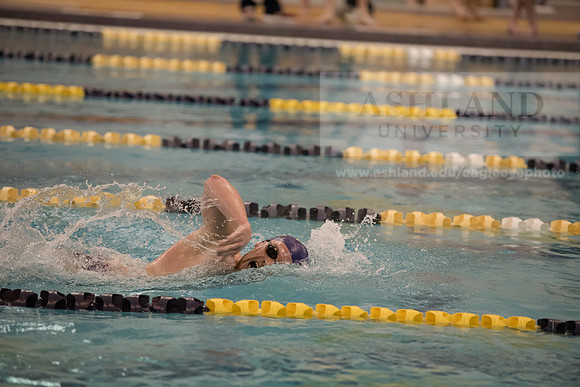 AU Swim Meet/Malone and Urbana