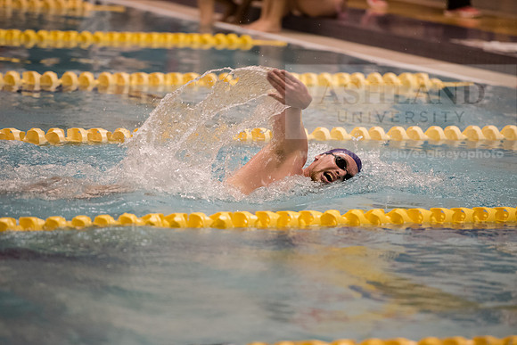 AU Swim Meet/Malone and Urbana