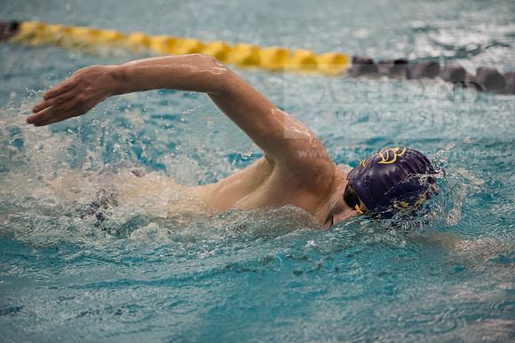 AU Swim Meet/Malone and Urbana