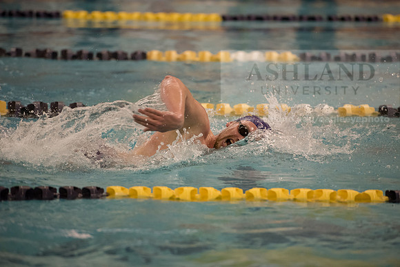 AU Swim Meet/Malone and Urbana