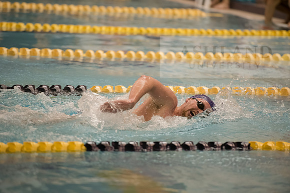 AU Swim Meet/Malone and Urbana
