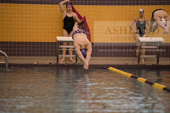 AU Swim Meet/Malone and Urbana