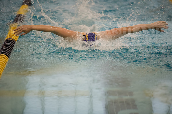 AU Swim Meet/Malone and Urbana