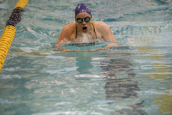 AU Swim Meet/Malone and Urbana