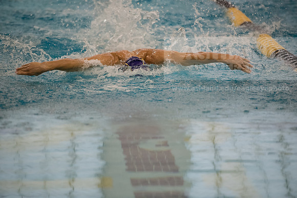 AU Swim Meet/Malone and Urbana