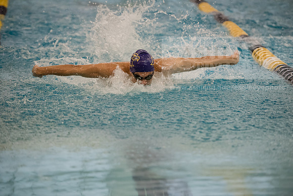 AU Swim Meet/Malone and Urbana