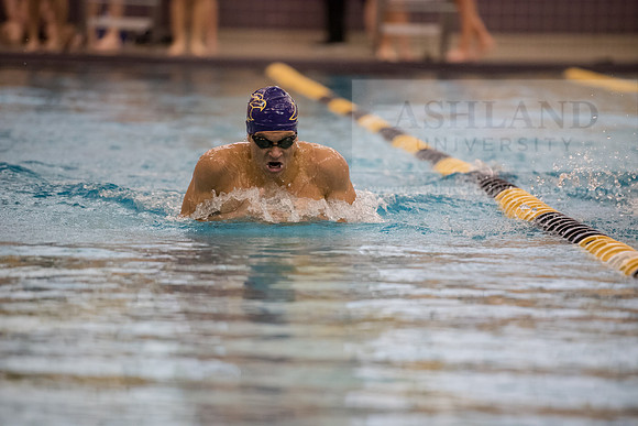 AU Swim Meet/Malone and Urbana
