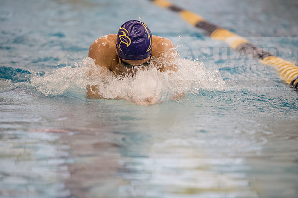 AU Swim Meet/Malone and Urbana