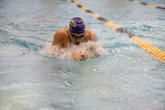 AU Swim Meet/Malone and Urbana