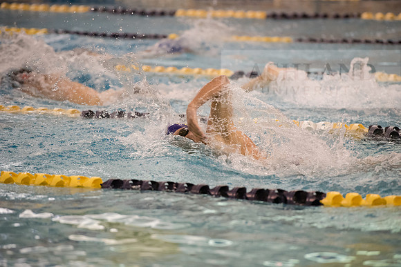 AU Swim Meet/Malone and Urbana