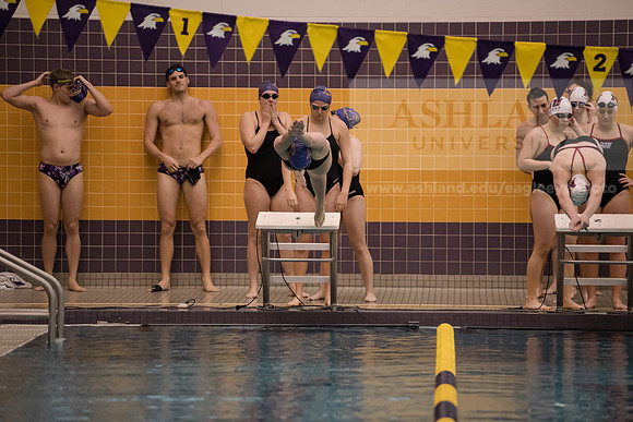 AU Swim Meet/Malone and Urbana