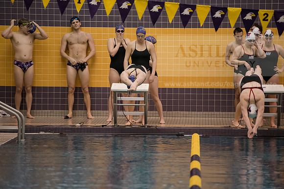 AU Swim Meet/Malone and Urbana