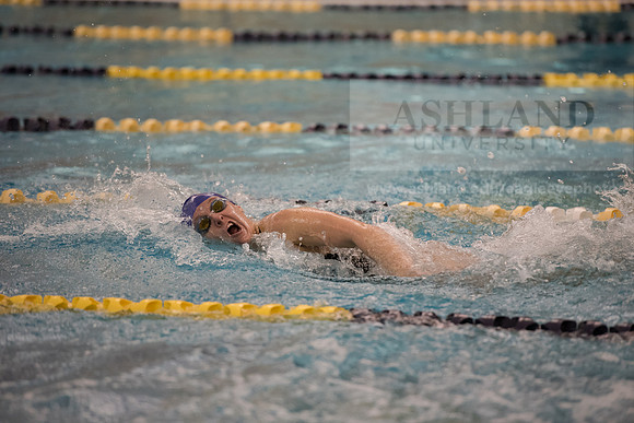 AU Swim Meet/Malone and Urbana