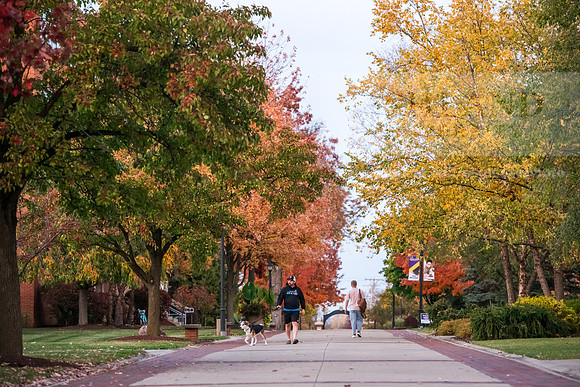 FallCampusLife1024AWB_7847
