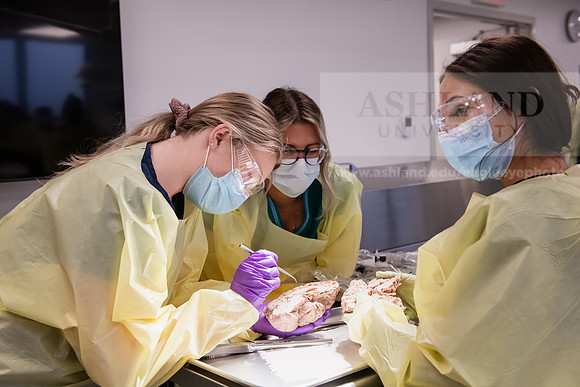 PAProgramCadaverLab1221ALW_3650