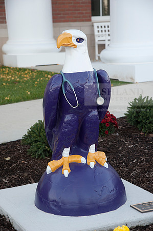 Schar College of Nursing